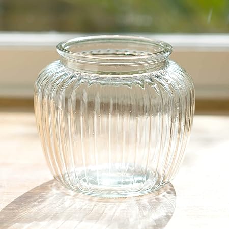 Clear Ribbed Glass Bubble Flower Vase Decoration Home Wedding