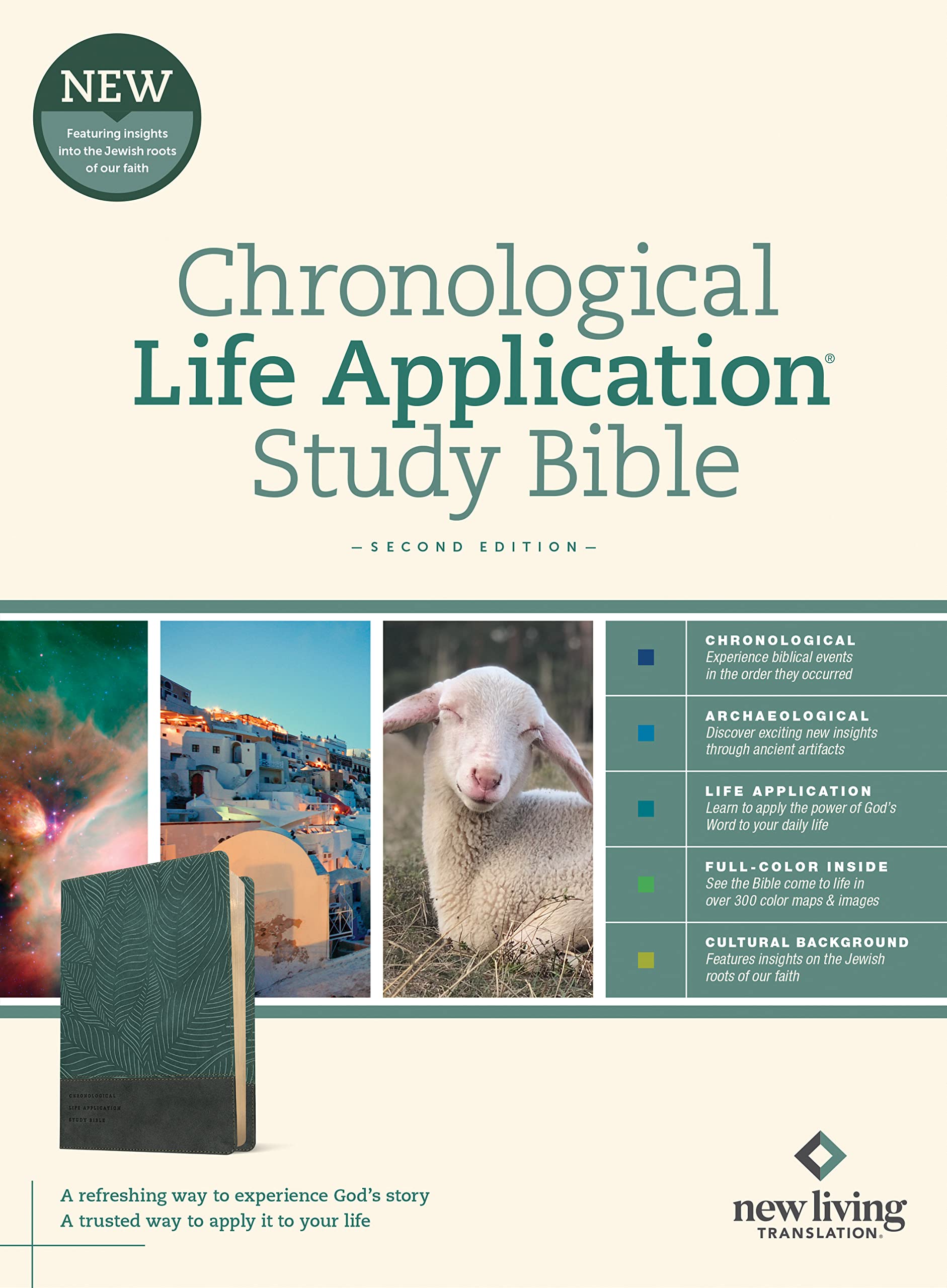 NLT Chronological Life Application Study Bible, Second Edition (LeatherLike, Palm Forest Teal) NLT Chronological Life Application Study Bible, Second Edition (LeatherLike, Palm Forest Teal) Imitation Leather