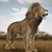Life Of Lion and Animals