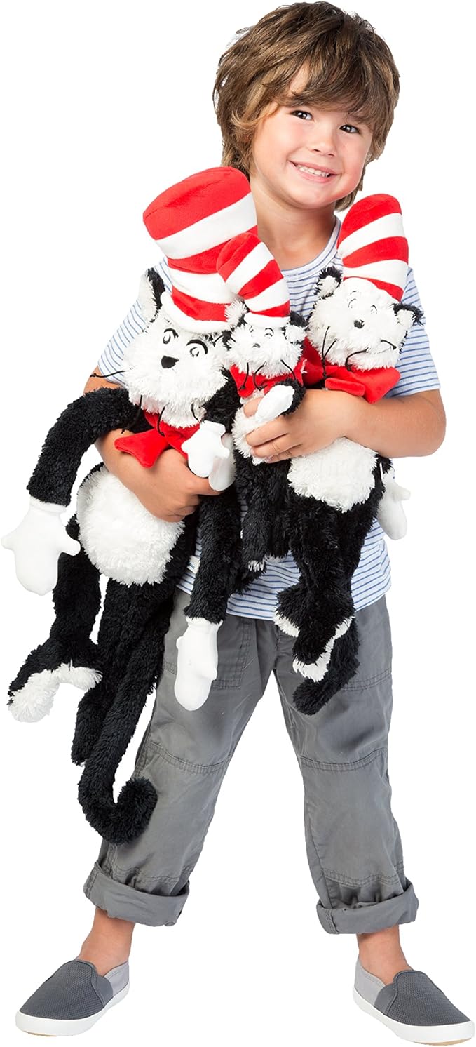 تجاوز خفف العجز Il Gatto Col Cappello Matto Film Completo Amazon Integralhealthworks Com