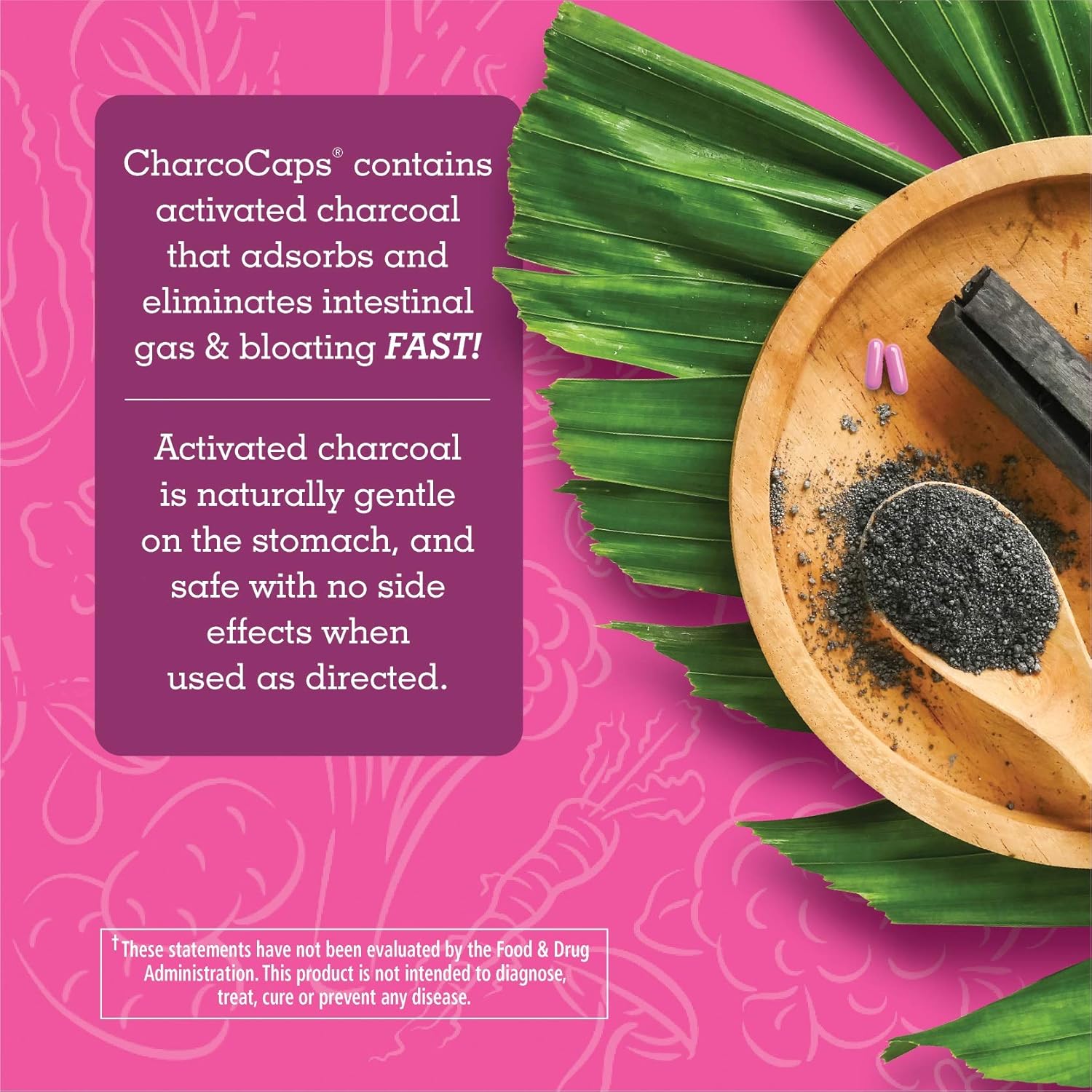 CharcoCaps Activated Charcoal Detox & Digestive Relief, 260mg, 100 Capsules: Health & Personal Care