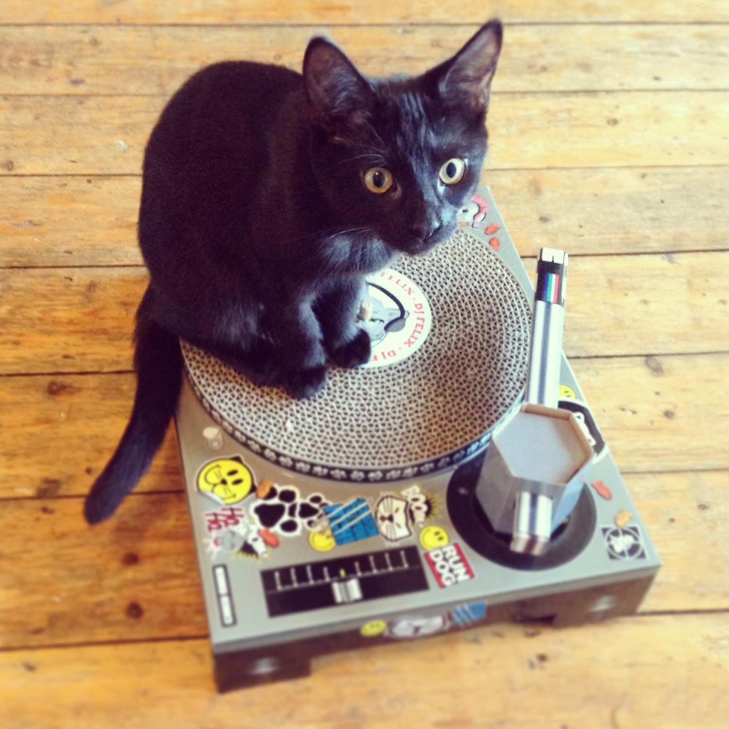 SUCK UK - CAT TOYS | PET CARDBOARD TURNTABLE & DJ MIXER | : Scratching Posts : Pet Supplies