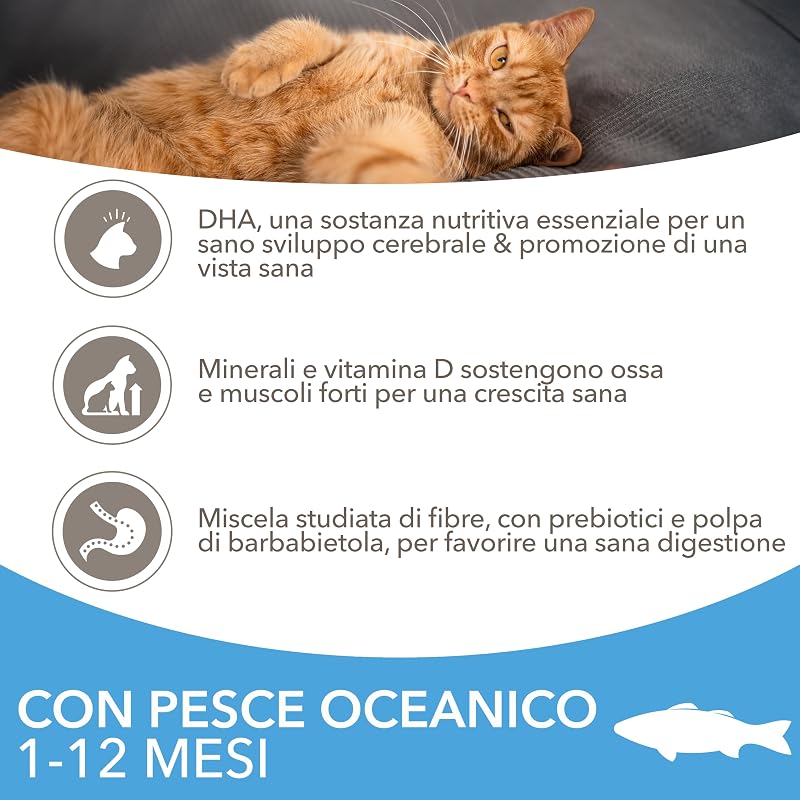 Cibo secco per gattini da 1-12 mesi con pesce oceanico, 10 kg