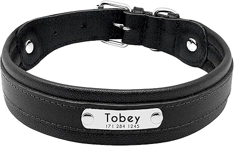 Black leather dog collar with nameplate Clearance