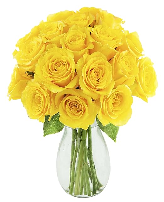 Kabloom Fields of Gold Yellow Roses (Dozen and a Half) - With Vase