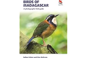 Birds of Madagascar: A Photographic Field Guide
