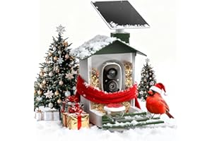 COOAU 5MP Smart Bird Feeder with Camera, Faster Solar Powered Charging, Outdoor Birdhouse Cam with Precise AI Birds Recognition, Live Video Watching and Notifications, Ideal Gift for Bird Lovers,Green