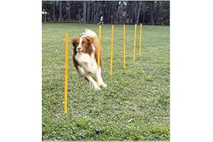 SINMAJOR Dog Agility Equipment, Agility Poles, Dog Jumps, Outdoor Obstacle Course with 6 Weave Poles and Adjustable Jump Bar, Partial Gift Conversion Buckle (Blind Box) Yellow