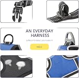 HEELE Dog Harness Reflective Padded Handle 2 Rings Size L Blue view 4