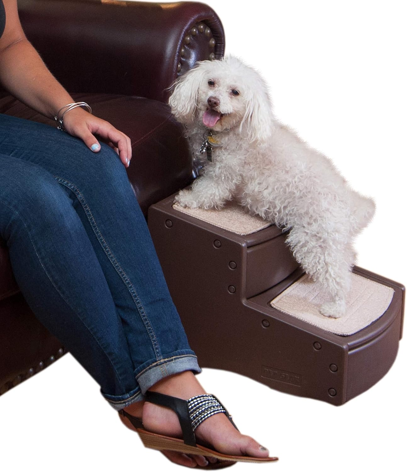 Pet Gear Easy Step II Pet Stairs, 2 Step for Cats/Dogs up to 75-pounds, Portable, Removable Washable Carpet Tread, Light Cocoa : Dog Ramp : Pet Supplies
