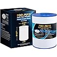 POOLPURE C-8465 Spa Filter Replaces Watkins 31114, Pleatco PWK65, Filbur FC-3960, 71827, 71828, Watkins 65 sq.ft Tiger River Spa Filter 1 Pack