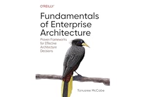 Fundamentals of Enterprise Architecture: Proven Frameworks for Effective Architecture Decisions