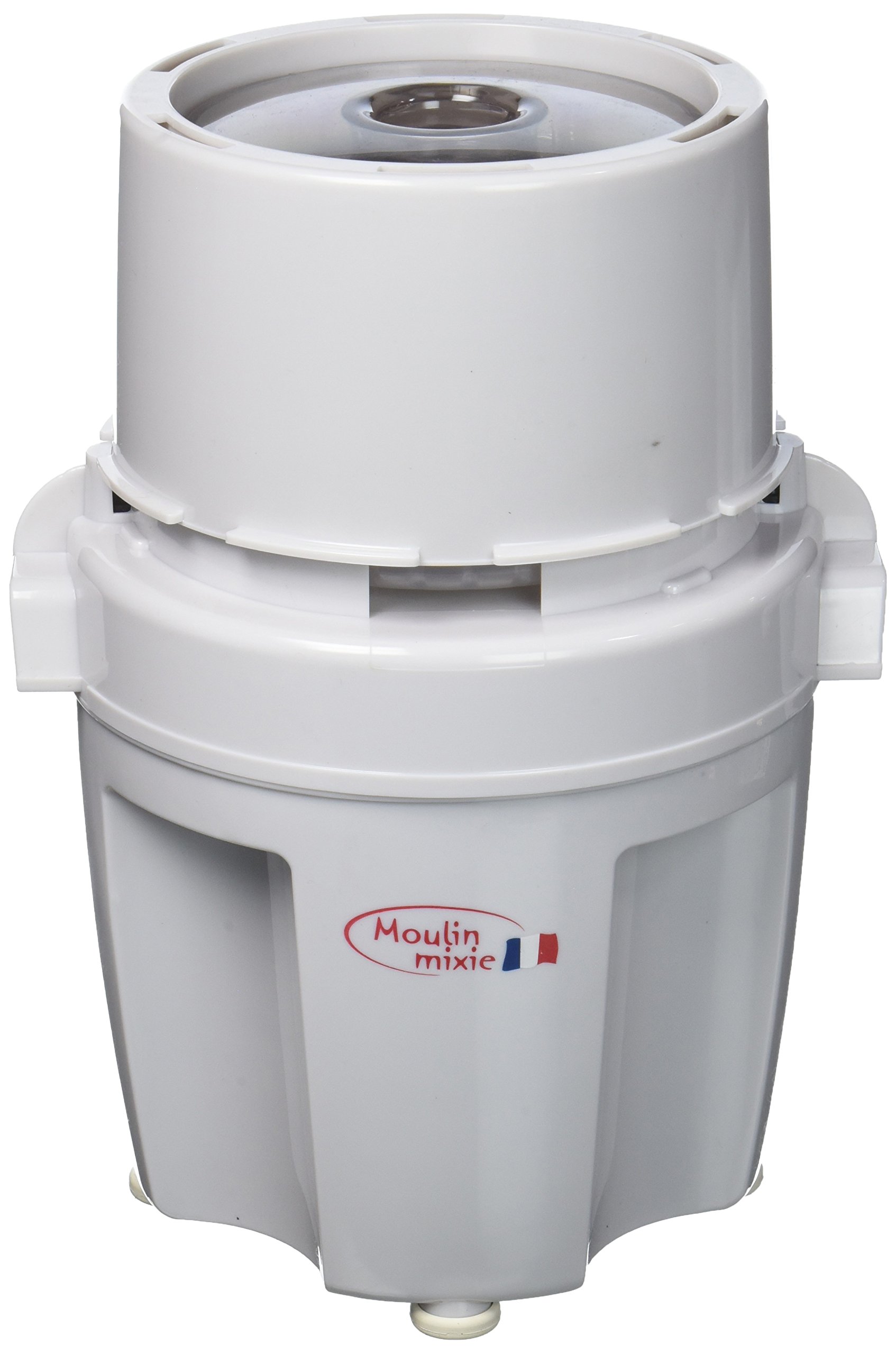 MOULIN WET & DRY CHUTNEY GRINDER, White Buy Online in United Arab Emirates at desertcart.ae