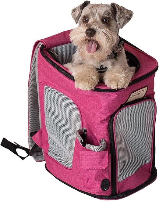 backpack to carry dog supplies