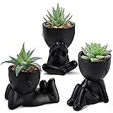 Der Rose 3pcs Fake Succulents Plants Artificial for