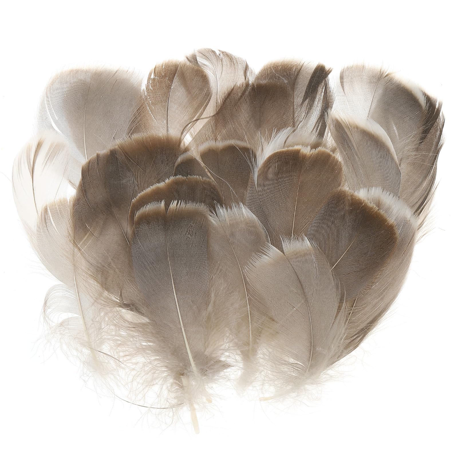 PATIKIL Colorful Feathers 3-5inch, 300pcs Goose Feathers Bulk for Crafts DIY, Wedding Home Party Decorations Dream Catcher, Natural Color