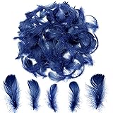 300pcs Navy Blue Feathers 2-3 Inches Bulk Feathers