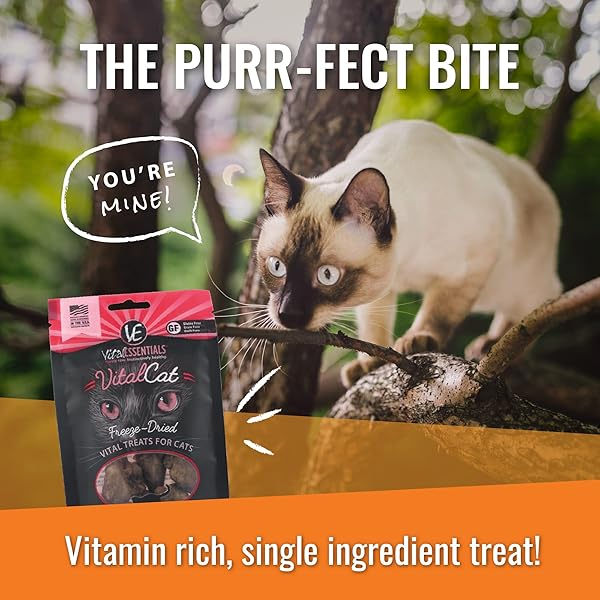 VITAL ESSENTIALS FREEZE DRIED CAT FOOD, PORK DINNER PATTIES 8 OZ
