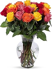 Benchmark Bouquets - 24 Stem Premium Rainbow Roses (Glass Vase Included) - Fresh Flowers for Delivery - Gift for Graduation, 