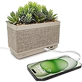 iHome PowerPlant Charging Station with Bluetooth Speaker, Faux Succulent with USB Charging Station for iPhone, Android, and More (iPP60)