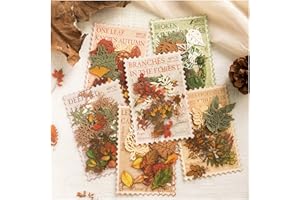 Diuhofart 240pcs Fall Leaf Stickers Cutouts Paper Set, Scrapbook Autumn Leaves Paper and Transparent PET Stickers for Scrapbooking Supplies, Junk Journals, Art Journaling, Card Making