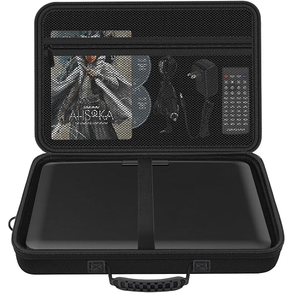 Amazon.com: HESPLUS Travel Carrying Case for BOIFUN 17.5
