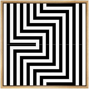 SIGNWIN Framed Canvas Wall Art Optical Illusion Line...