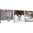 NAN Wind Owl Canvas Wall Art Owl Decor Predator Pictures on Canvas Wall Art for Home Office Decorations Living Room Bedroom 3 Pcs Canvas Prints 12X12inches