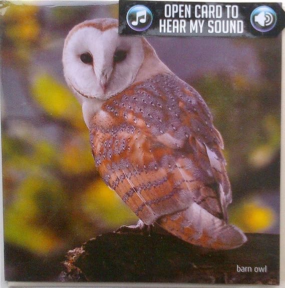 Rspb Greeting Sound Card By Really Wild Cards Barn Owl Amazon