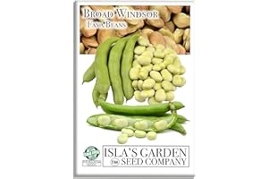 "Broad Windsor" Fava Bean Seeds for Planting, 25 Heirloom Seeds Per Packet, (Isla's Garden Seeds), Non GMO Seeds, 95% Germination & Purity, Botanical Name: Vicia faba, Great Home Garden Gift