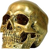 81UFIOrlFnL. AC UL160 SR160,160 Common Voodoo Offerings: Meanings Behind the Rituals