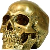 Sinromrich Resin Gold Skull Model - Life Size High Fidelity Sculpture for Halloween Decor Statues, Home Decoration & Artistic Display