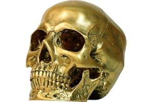 Sinromrich Resin Gold Skull Model - Life Size High Fidelity Sculpture for Halloween Decor Statues, Home Decoration & Artistic Display