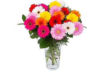 Bouquet De Botanicly Bouquet Gerbo Mélanger 20 Mini