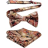 HISDERN Bow Ties for Men Paisley Floral Pre-tied Bowtie Pocket Square Set Men's Formal Bow Ties Wedding Party