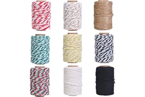 Lot de 9 rouleaux de ficelle de boulanger colorée de 2 mm pour travaux manuels, jardinage, jardinage, tissage, décoration