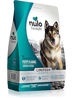 nulo for french bulldog