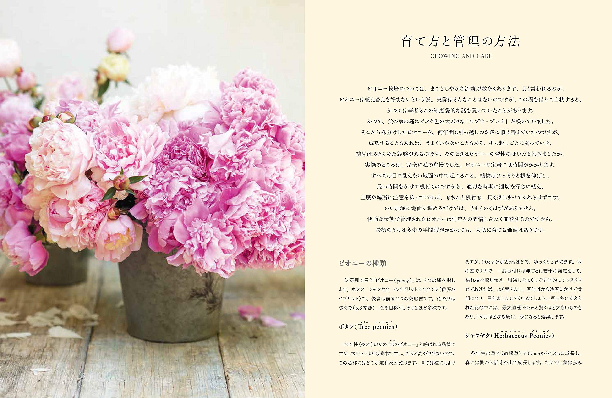 暮らしを彩る 美しい牡丹と芍薬 ジェーン イースト 倉重 祐二 ジョージアナ レーン ダコスタ 吉村 花子 本 通販 Amazon