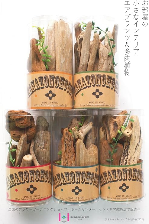 Amazon Co Jp 小さなエアプランツや多肉植物に最適 流木セットmカップ 1カップ 全国送料700円期間中 ホーム キッチン Amazon Co Jp 小さなエアプランツや多肉植物に最適 流木セットmカップ 1カップ 全国送料700円期間中 ホーム キッチン