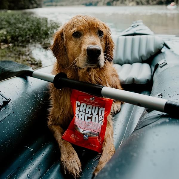 STELLA & CHEWY’S TRAINING DOG TREATS – CRAV’N BAC’N SOFT BACON & PORK BITES – PREMIUM USA MADE – LOW CALORIE REWARDS – 8.25OZ