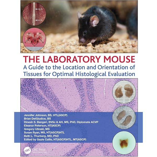 The Laboratory Mouse: A Guide to the Location and Orientation of