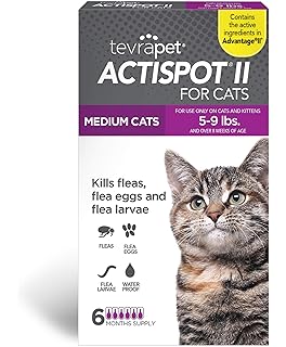 missed flea treatment