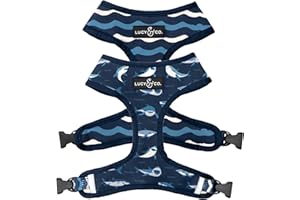 LUCY & CO. Reversible Dog Harness - Best Designer Pet Harnesses for Extra Small Medium Large XL Dogs - Padded Adjustable Puppy Vest for Easy Walking (Medium, Shark Attack)