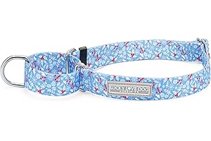 Lucky Love Dog Martingale Dog Collar - Adjustable, No-Slip, Durable, & Soft Webbing Collar for Male and Female Dogs Ideal for Training & Walking - Winterblue, Medium