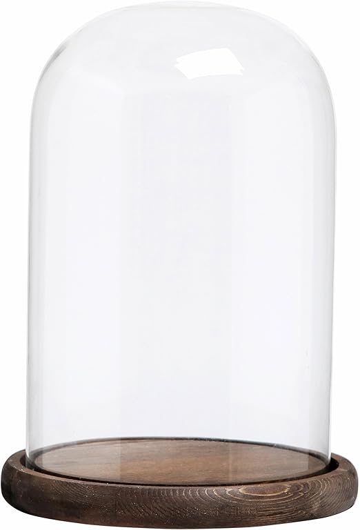 Decorative Clear Glass Cloche Bell Jar Display Case with Wood Base