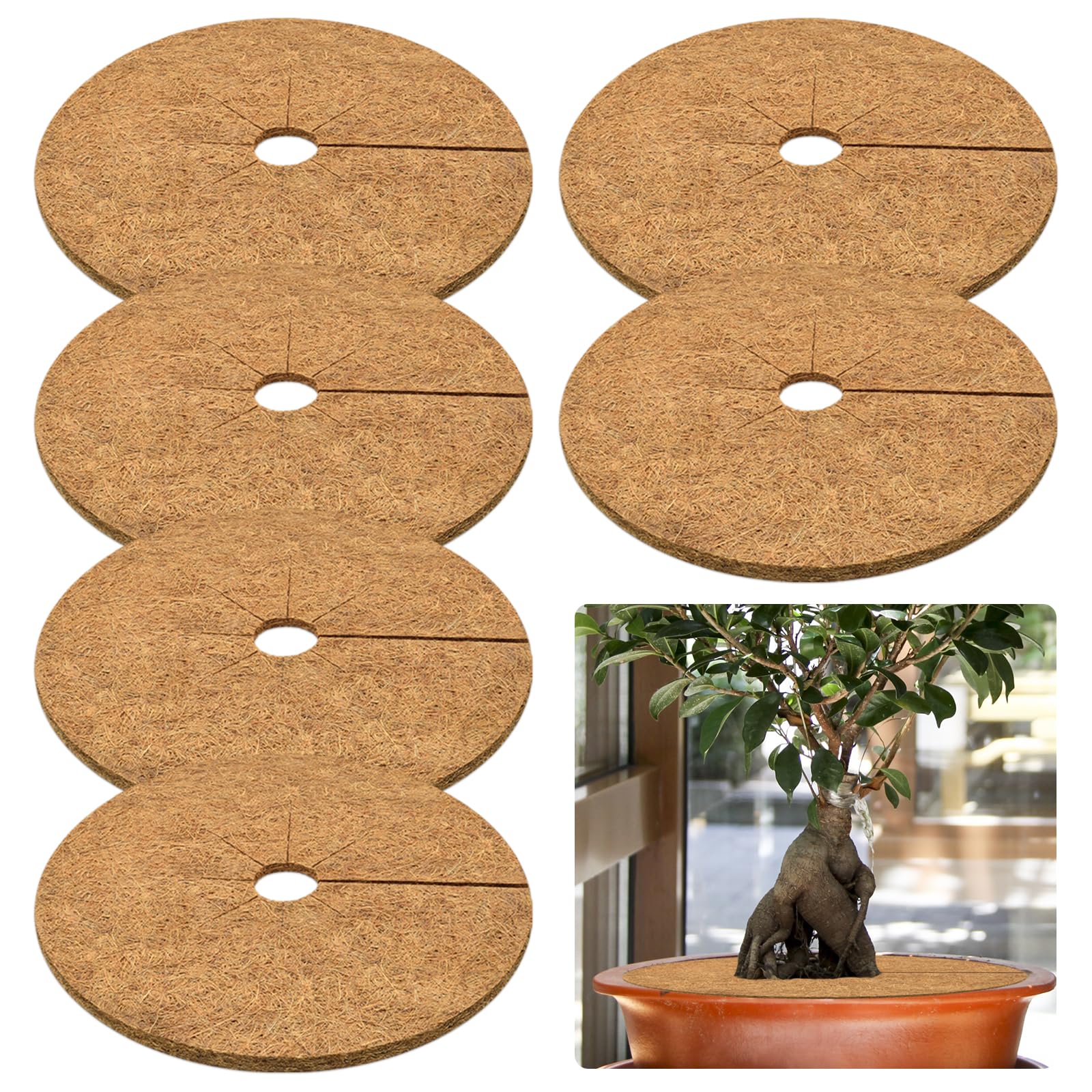 Photo 1 of ZeeDix 6 Pcs Coconut Fiber Mulch Ring, 24 Inch Coco Coir Tree Ring Mulch Mat, 100% Natural Tree Protector Mat Plant Cover Ring Coconut Coir Discs Tree Mats Mulch Rings for Indoor Outdoor Trees Plants