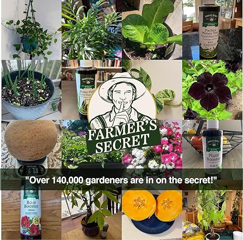 Farmer's Secret Anthurium Liquid Plant Food Fertilizer (8oz) - Super  Concentrated - Promotes Growth and Flowering - 4:15:12 Ratio in Dubai - UAE  | Whizz Fertilizers & Plant Food