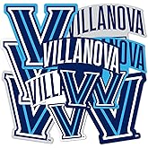 Desert Cactus Villanova University Sticker VU Wildcats Sticker Vinyl Decals Laptop Water Bottle Car Scrapbook Sheet T2 (Type 2-2)
