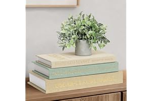 Weldomcor Decorative Books Set of 3 Modern Fake Book Box for Decoration, Aesthetic Faux Linen Books Hidden Photo Storage Keep