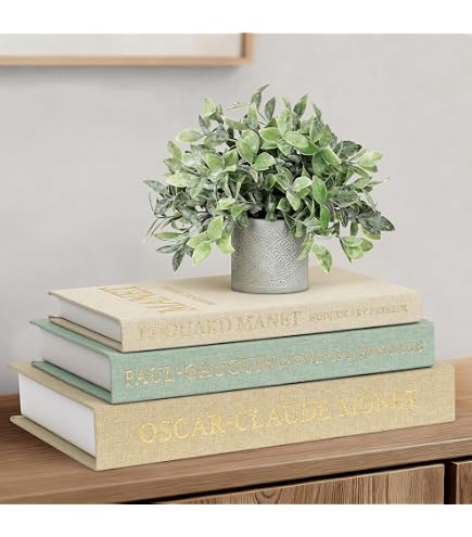 Lot De 3 Livres Décoratifs Magnétiques Absorbants - Décoration Intérieure Bohème Moderne